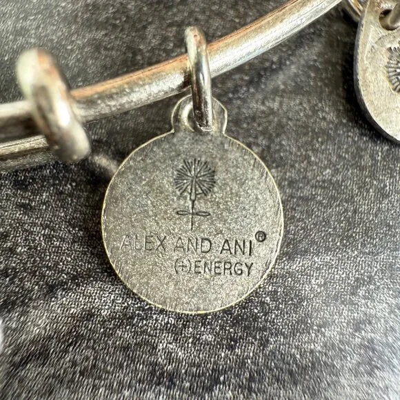 Alex and Ani Apple Charm Bracelet Silver Nature Expandable Bangle - Picture 12 of 14